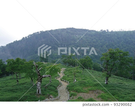 Scenery seen from the mountain trail of Odaigahara 93290082