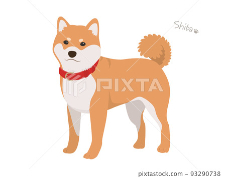 柴犬_紅發 93290738