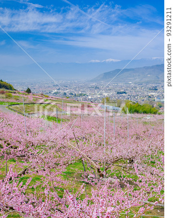 山梨縣笛吹市 山梨縣笛吹市 93291211