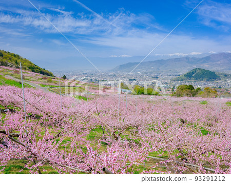 山梨縣笛吹市 山梨縣笛吹市 93291212