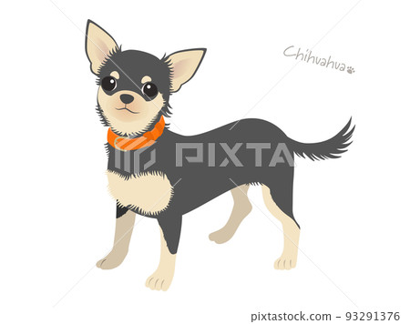 吉娃娃_黑棕 93291376