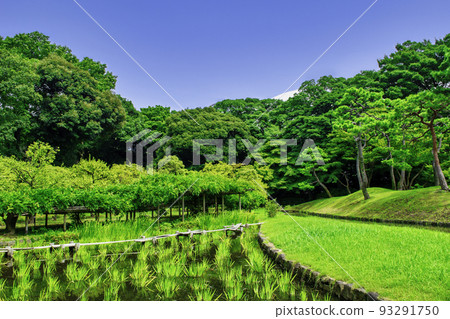 東京小石川後樂園田園風光 93291750