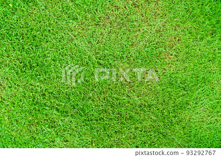 Green grass texture background, Green lawn, Backyard for background, Grass texture, Green lawn desktop picture, Park lawn texture. Green grass texture background, Green lawn, Backyard for background, Grass texture, Green lawn desktop picture, Park lawn texture. 93292767