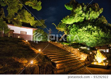 Kyoto Shoren-in Monzeki Spring 2022 Kyoto Shoren-in Monzeki Spring 2022 93292922