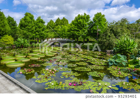 Aquatic Botanical Garden Mizunomori Kusatsu City, Shiga Prefecture 93293401