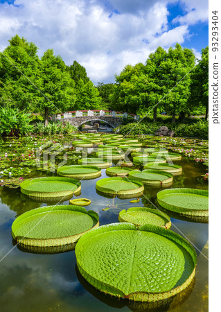 Aquatic Botanical Garden Mizunomori Kusatsu City, Shiga Prefecture Aquatic Botanical Garden Mizunomori Kusatsu City, Shiga Prefecture 93293404