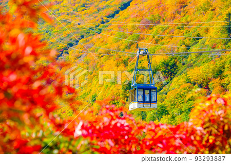 Tateyama Ropeway (Autumn) Tateyama Ropeway (Autumn) 93293887