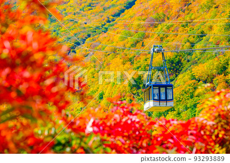 立山索道（秋季） 93293889