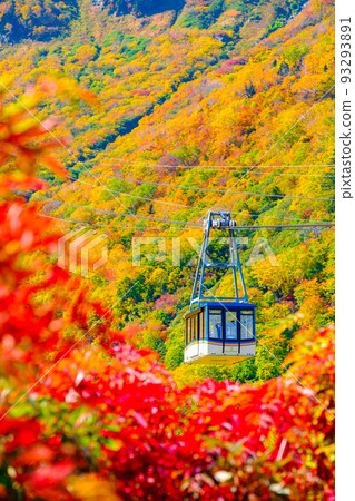 Tateyama Ropeway (Autumn) 93293891