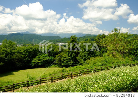 Mountain range, plaza, and buckwheat fields [Tsukui, Sagamihara City, June] 93294018