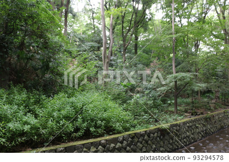 Todoroki Valley Todoroki Valley 93294578