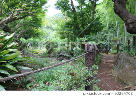 Japanese garden 93294708