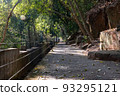 Park's promenade 93295121