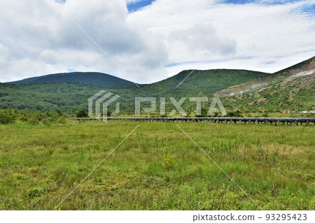 Jododaira wetlands in summer 93295423