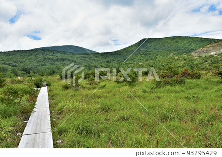 Jododaira wetlands in summer 93295429