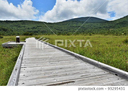 夏季的淨土平木路和淨土平濕地 夏季的淨土平木路和淨土平濕地 93295431