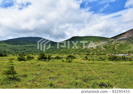 Jododaira wetlands in summer Jododaira wetlands in summer 93295433