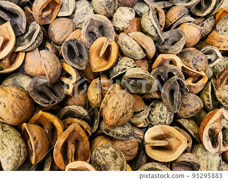 Background image with many old light brown and reddish brown walnut shells Background image with many old light brown and reddish brown walnut shells 93295883