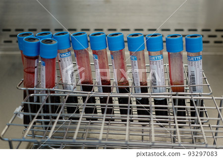 血液檢體 93297083