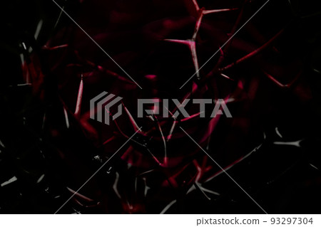 荊棘，痛苦，可怕的形象 93297304