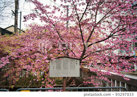 京都一條通橋櫻花 2022 年春季 93297833