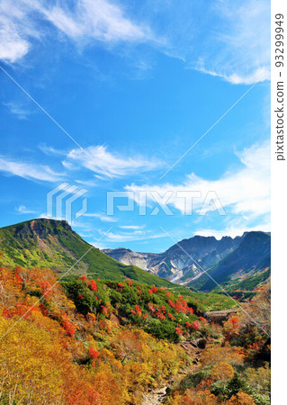 Hokkaido Tokachidake of autumn blue sky and colored leaves 93299949
