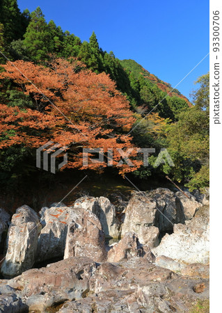 The scenery of Yabakei Sarutobi Sentsubo Gorge colored with autumn leaves against the blue sky 93300706
