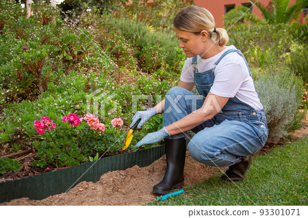 Focused female gardener planting flowers Focused female gardener planting flowers 93301071