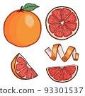 Grapefruit Hand Drawn Illustration Collection Isolated 93301537