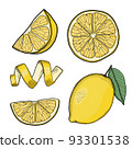 Lemon Hand Drawn Illustration Collection Isolated 93301538