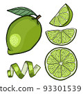 Lime Hand Drawn Illustration Collection Isolated 93301539