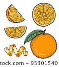 Orange Hand Drawn Illustration Collection Isolated 93301540
