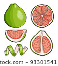 Pomelo Hand Drawn Illustration Collection Isolated 93301541