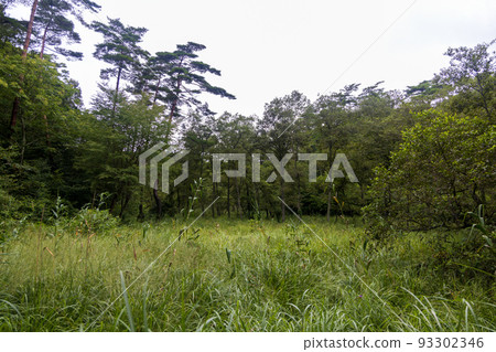 Beautiful scenery of Koigakubo in Niimi city, Okayama prefecture, Japan 93302346