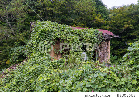 Old and very beautiful abandoned Japanese house Old and very beautiful abandoned Japanese house 93302595