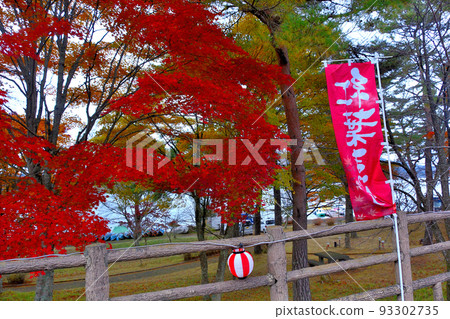 富士山/山中湖紅葉節，從湖邊散步道（沿停車場）看到的會場/山梨縣山中湖村 93302735