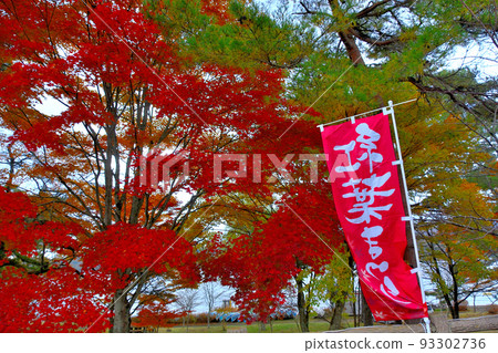 富士山/山中湖紅葉節，從湖邊散步道（沿停車場）看到的會場/山梨縣山中湖村 93302736