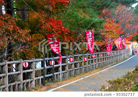 富士山/山中湖紅葉節，從湖邊散步道（沿停車場）看到的會場/山梨縣山中湖村 93302737