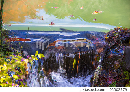 從池塘流出的水 從池塘流出的水 93302779