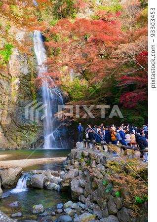 [Osaka Prefecture] Minoh Park during the autumn leaves season in November 93303453