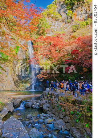 [Osaka Prefecture] Minoh Park during the autumn leaves season in November 93303454