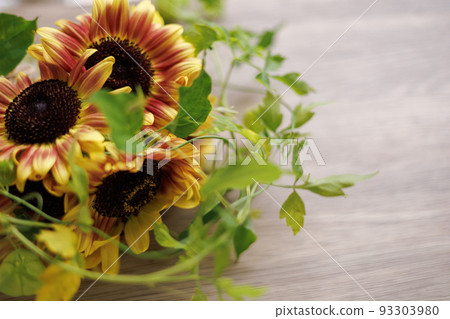 Sunflower bouquet frame wood grain background Sunflower bouquet frame wood grain background 93303980