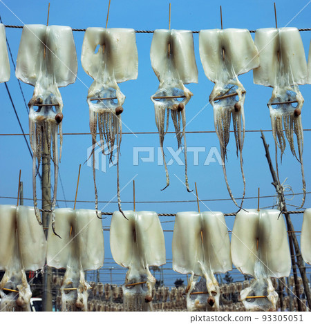 Dry squid Dry squid 93305051