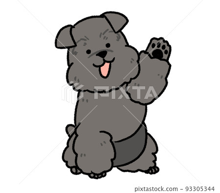 black schnauzer with one hand up 93305344