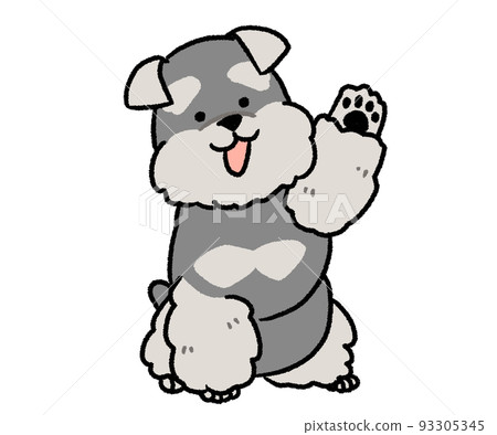 Schnauzer raising one hand 93305345