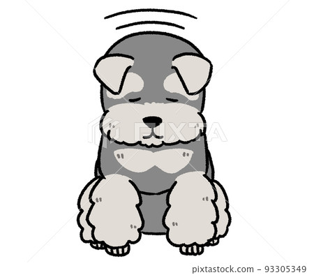 schnauzer bowing schnauzer bowing 93305349