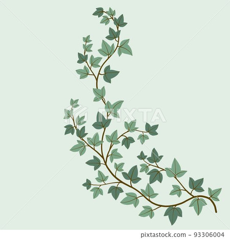 Simplicity ivy freehand drawing flat design. 93306004