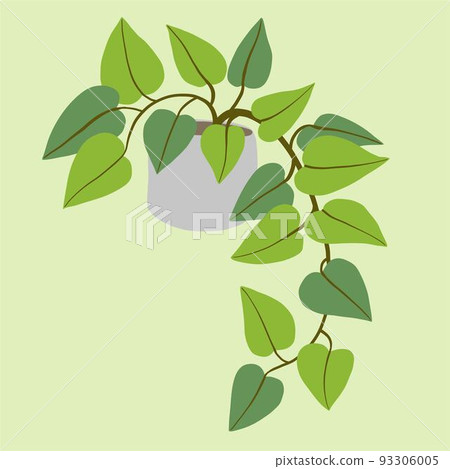 Simplicity ivy freehand drawing flat design. 93306005