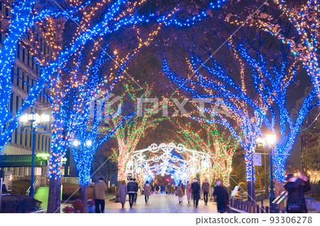 [Osaka Prefecture] December, Osaka, Festival of Lights 2021, Midosuji Illumination 2021, Osaka City Hall 93306278
