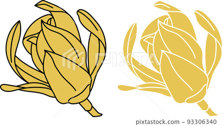 Abstract of Yellow Champaka blooming flower Abstract of Yellow Champaka blooming flower 93306340